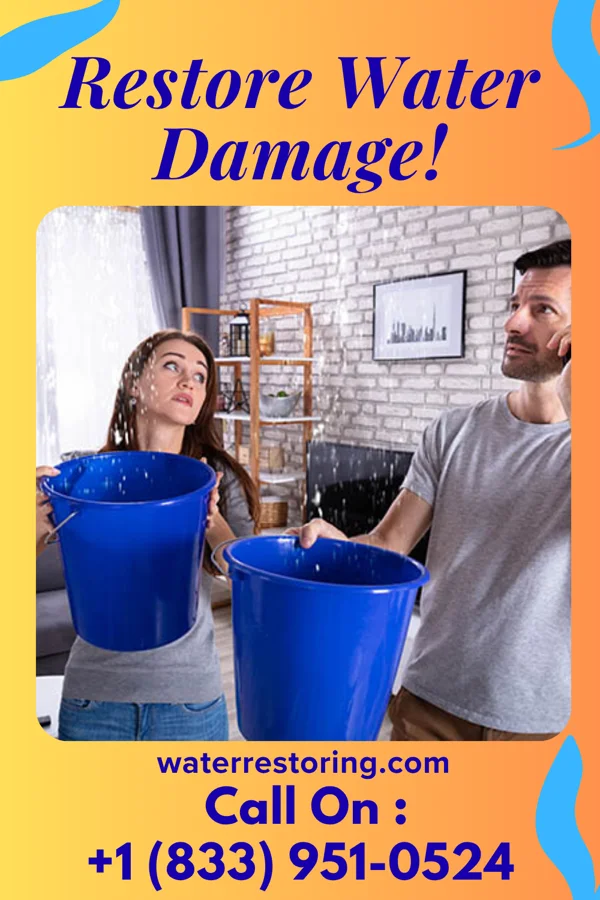 water restoration Direct Sewage Cleanup Solutions Howland Center