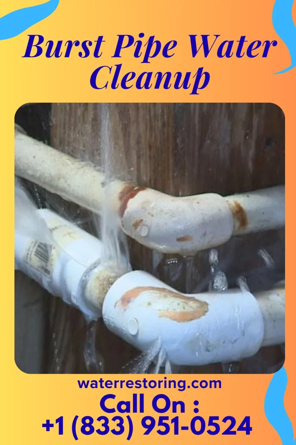 Burst Pipe Water Cleanup in Howland Center, OH