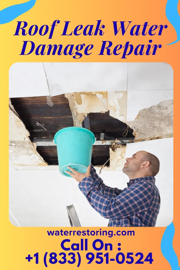 Roof Leak Water Damage Repair in Howland Center, OH