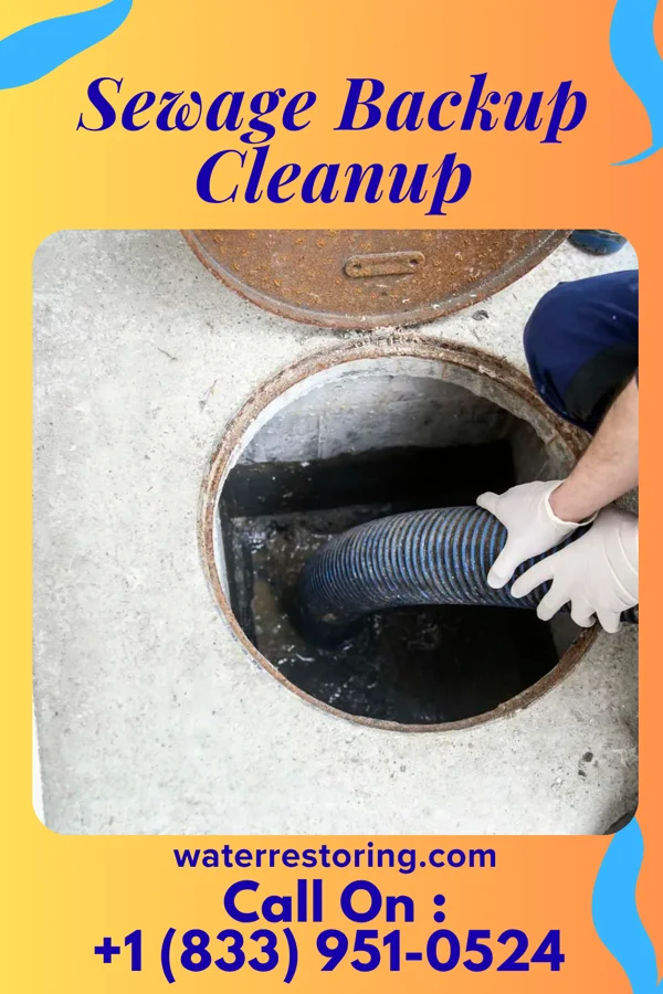 Sewage Backup Cleanup in Howland Center, OH
