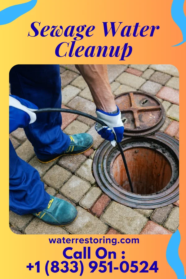 Sewage Water Cleanup in Howland Center, OH