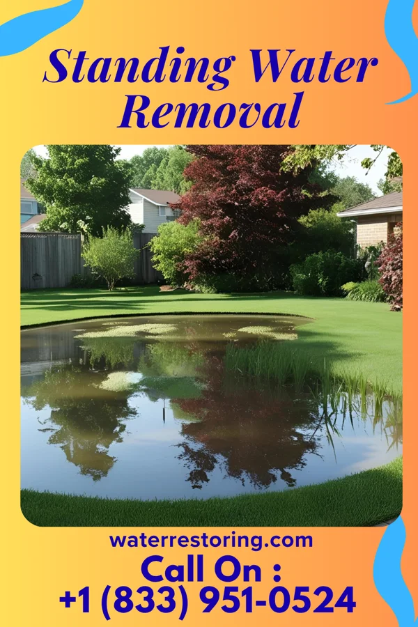 Standing Water Removal in Howland Center, OH